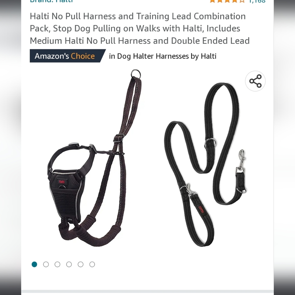 Halti no pull training harness with lead